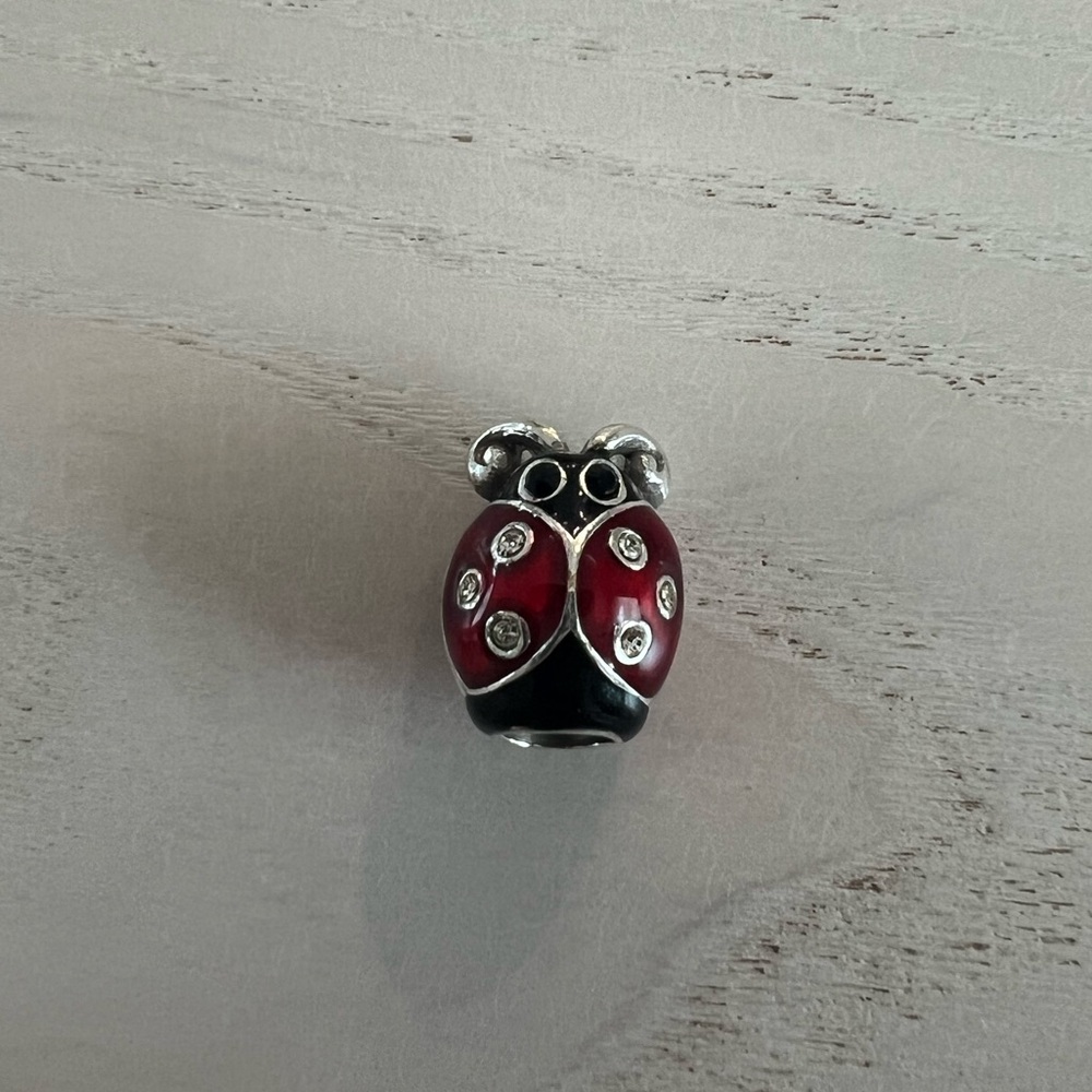 Brighton Ladybug Charm